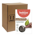 Αρωματικό Ρεσώ 4 Ωρών Bolsius True Scents 6άδα - Oud Wood Κιβώτιο 20Τμχ