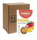 Αρωματικό Ρεσώ 4 Ωρών Bolsius True Scents 6άδα -  Κιβώτιο 20Τμχ