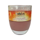 Αρωματικό Κερί Σε Ποτήρι 80/70mm Bolsius Aromatic Autumn Walk Κιβώτιο 6Τμχ