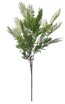 Μιμόζα Πρασινάδα 105cm THIM23321
