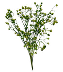 Κλαδί Βαξ 74cm THIM10164 - Πράσινο