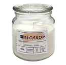 Αρωματικό Κερί Σε Ποτήρι 110/95mm Bolsius Hema Blossom - Γιασεμί & Τριαντάφυλλο
