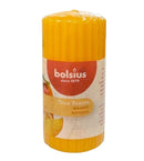 Αρωματικό Κερί Κορμός Bolsius True Scents 120/60mm-Μάνγκο