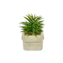 Τεχνητό Φυτό Ibergarden Διαστάσεων 13x8x8cm σε Γκρι Γλαστράκι - Αγαύη (1625)