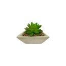 Τεχνητό Φυτό Ibergarden Διαστάσεων 8x11,5x11,50cm σε Γκρι Γλαστράκι - Παχύφυτo (1626)