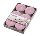 Αρωματικό Ρεσώ 8 Ωρών (Bolsius Aromatic) 6άδα -Magnolia