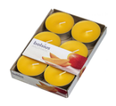 Αρωματικό Ρεσώ 8 Ωρών (Bolsius Aromatic) 6άδα - Mango